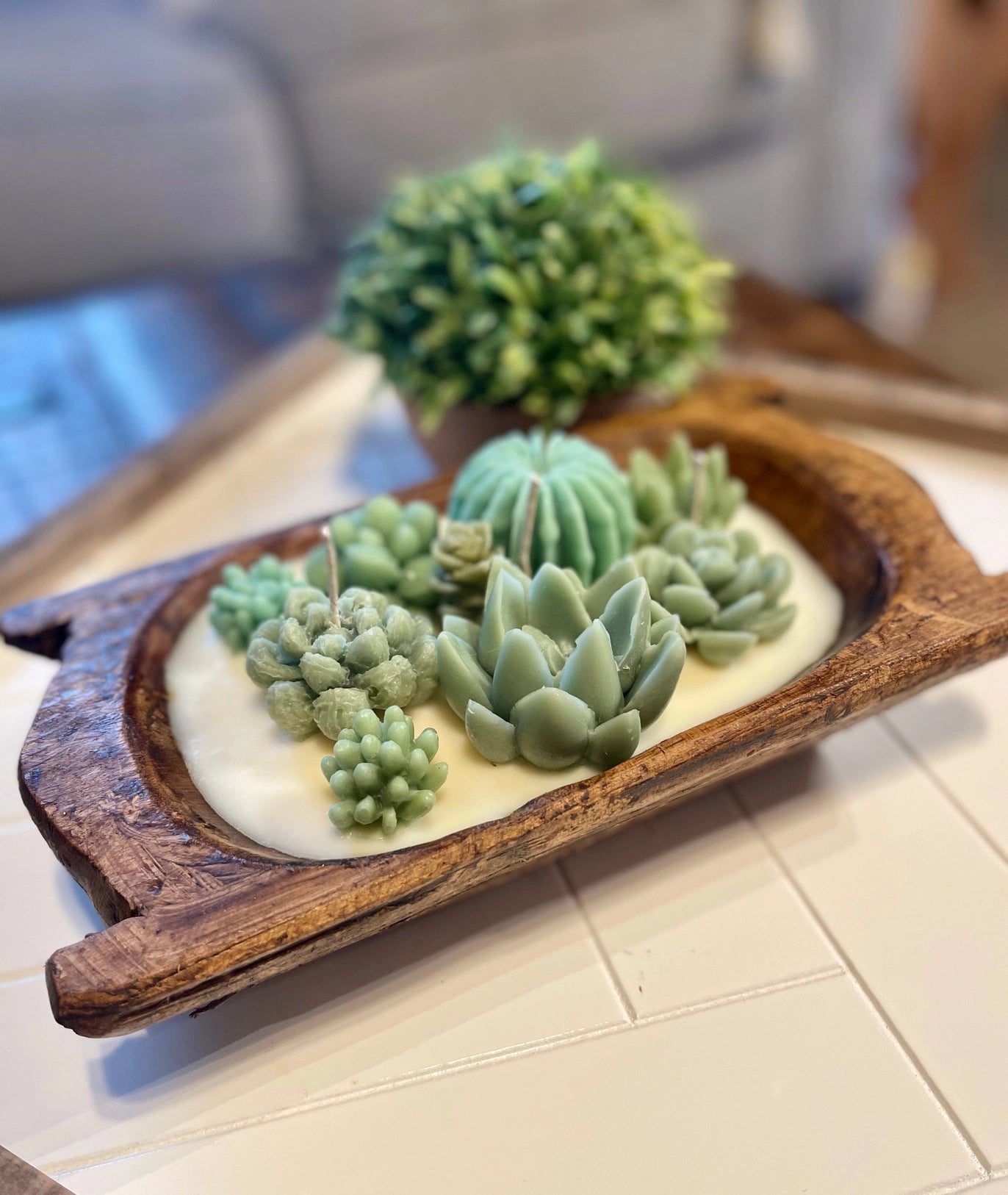 Succulent Wood Candle - Large