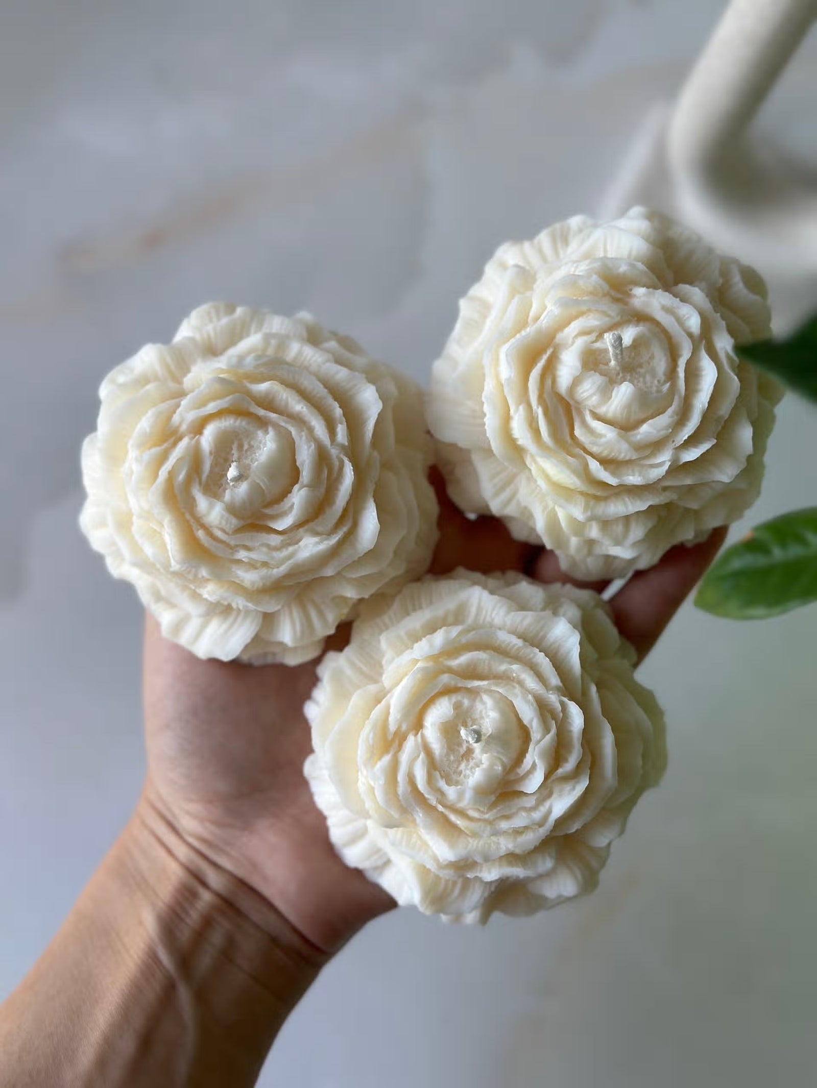 Peony Candles (set of 3)