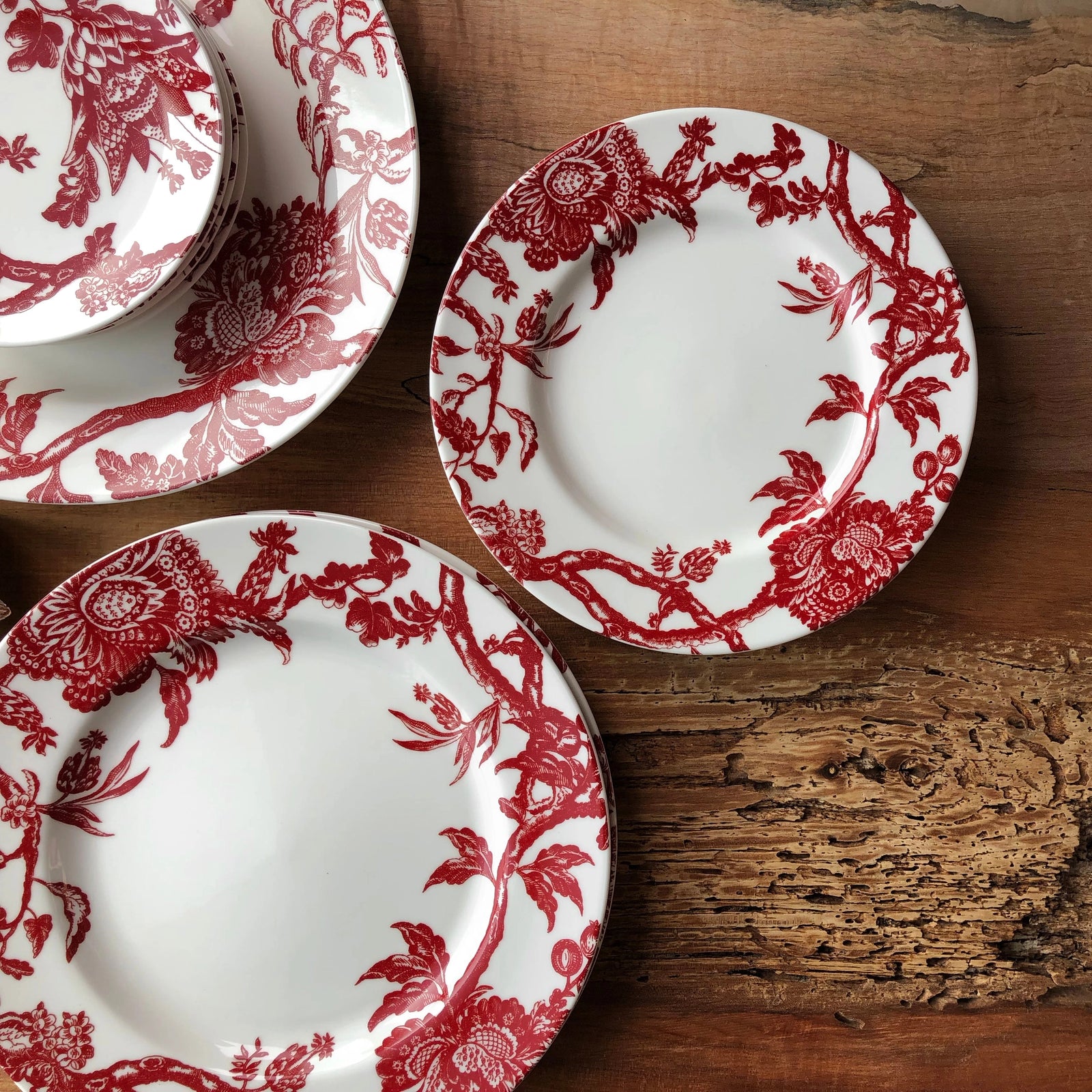 Crimson Vines Dinner Plate