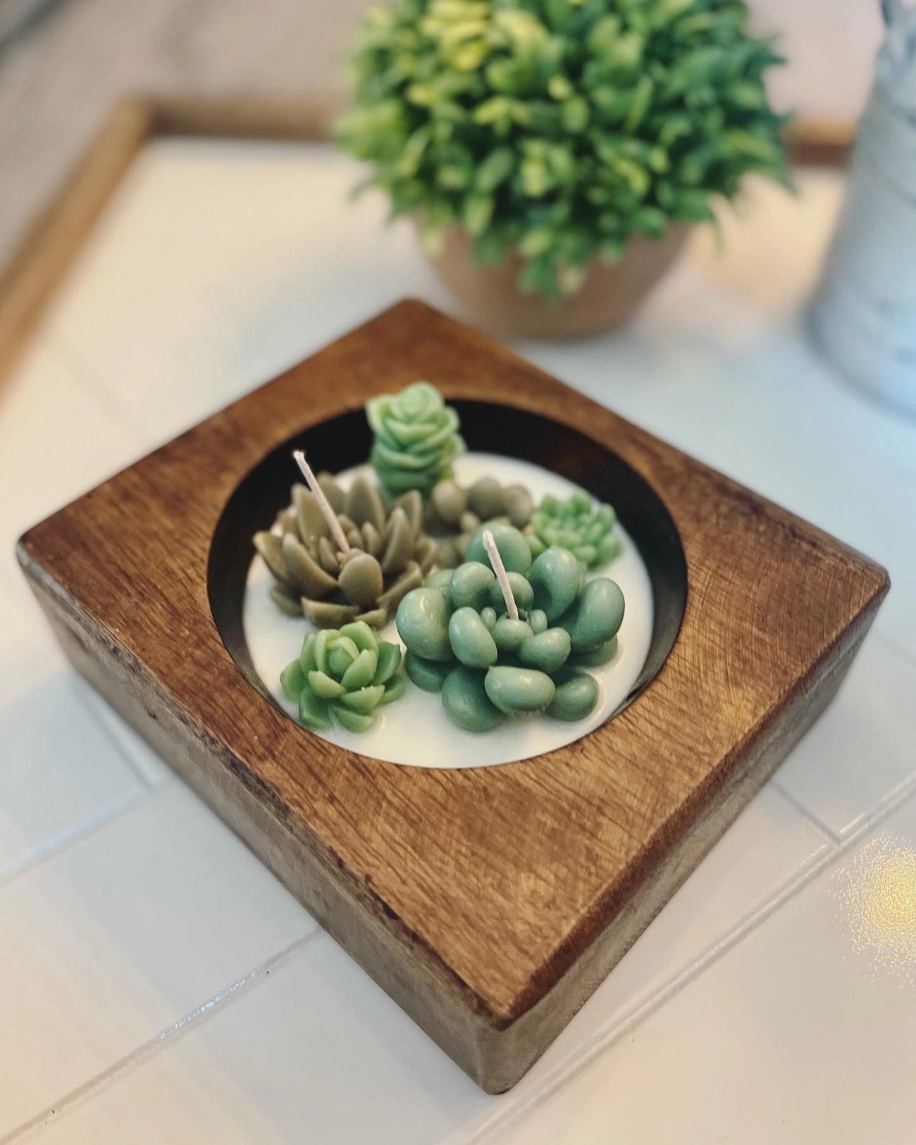 Succulent Wood Candle - small